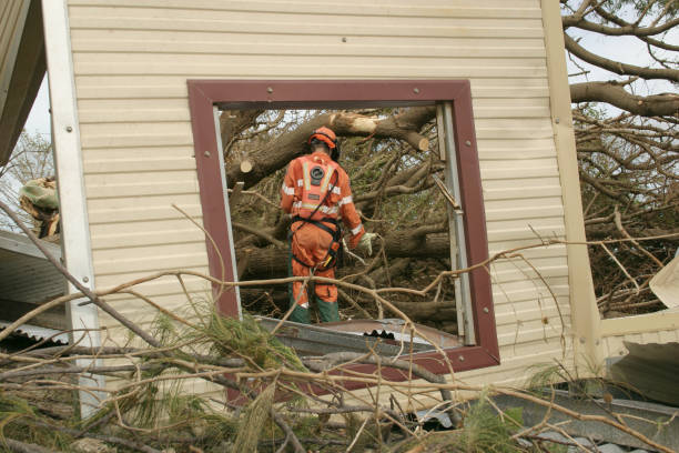 Best Tree Removal  in Thiensville, WI